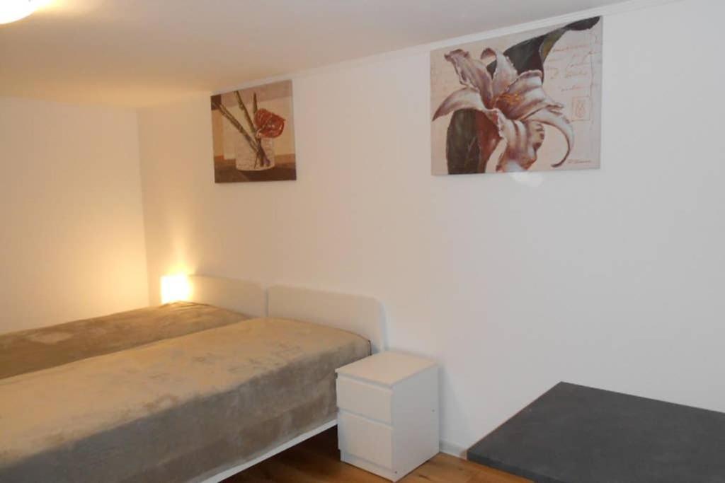 Zimmer In Direkter Naehe Zu Basel Гренцах-Вилен Экстерьер фото